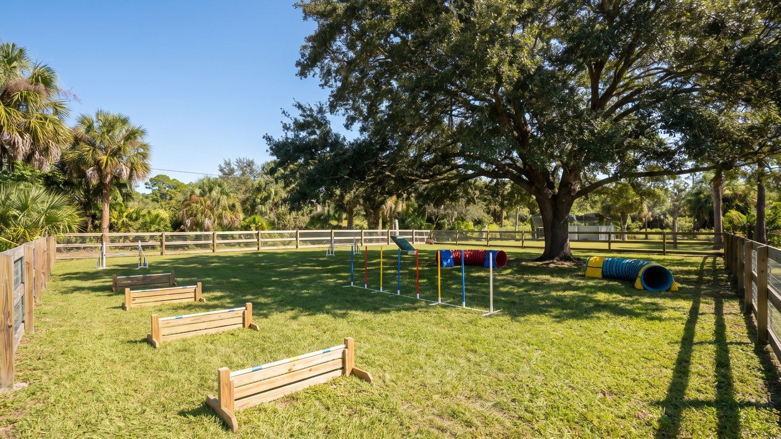 Alpha Buddy Dog Training — personalized boarding and training near Pembroke Pines