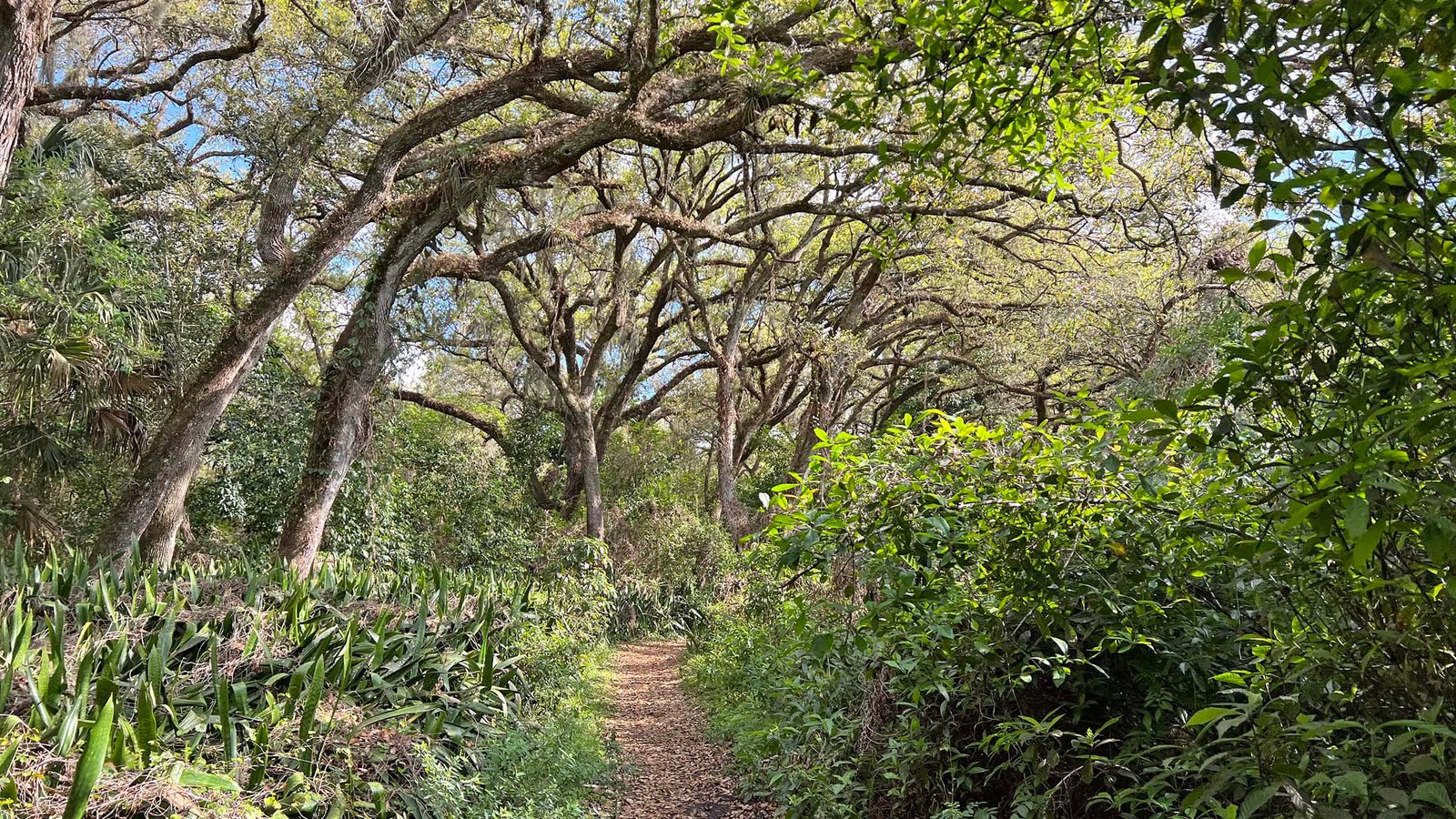 Tree Tops Park in Davie, Florida