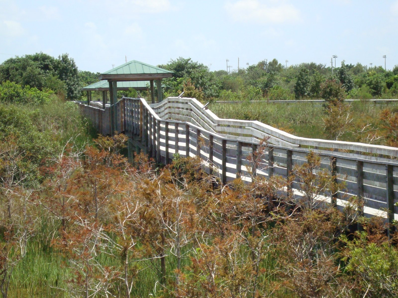 Chapel Trail Park Nature Preserve in Pembroke Pines, Florida