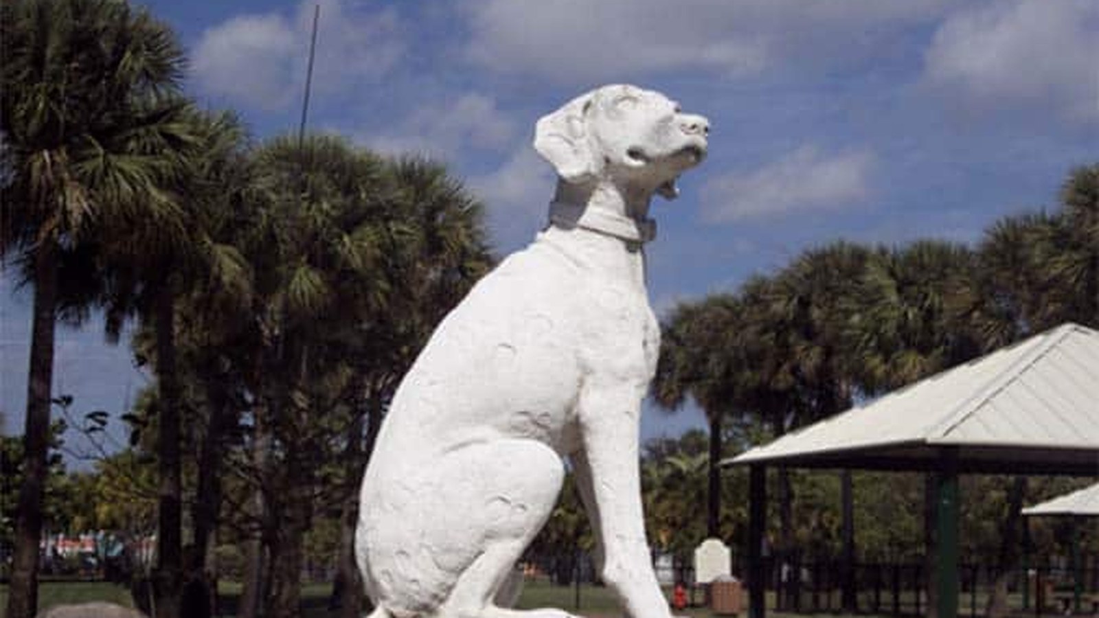 Dogs running and playing in the large grassy enclosure at Happy Tails Dog Park in Plantation, Florida