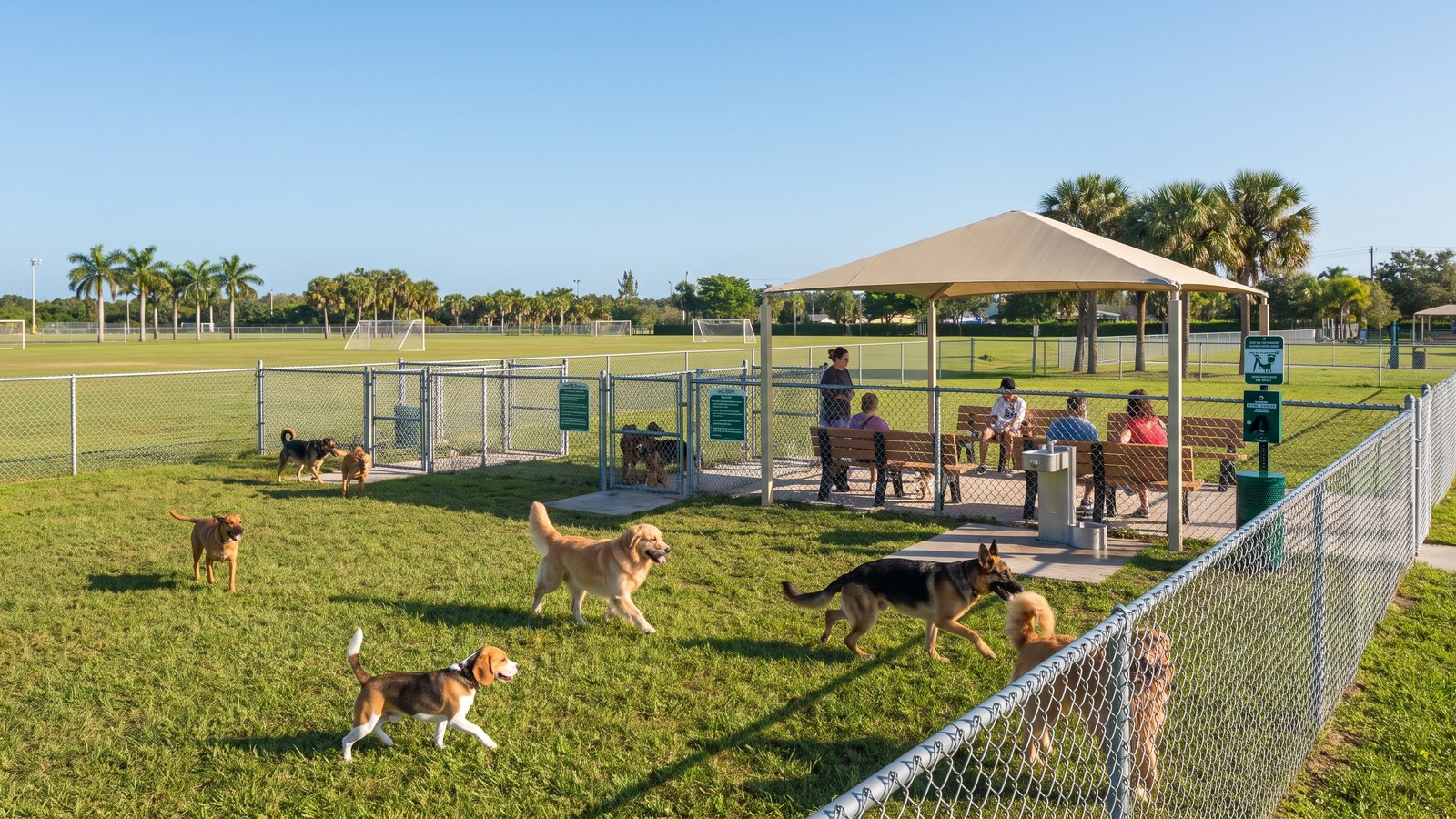 Dogs playing in a shaded fenced area with trees and greenery at John Williams Park Dog Park in Hollywood, Florida — AI-generated illustration