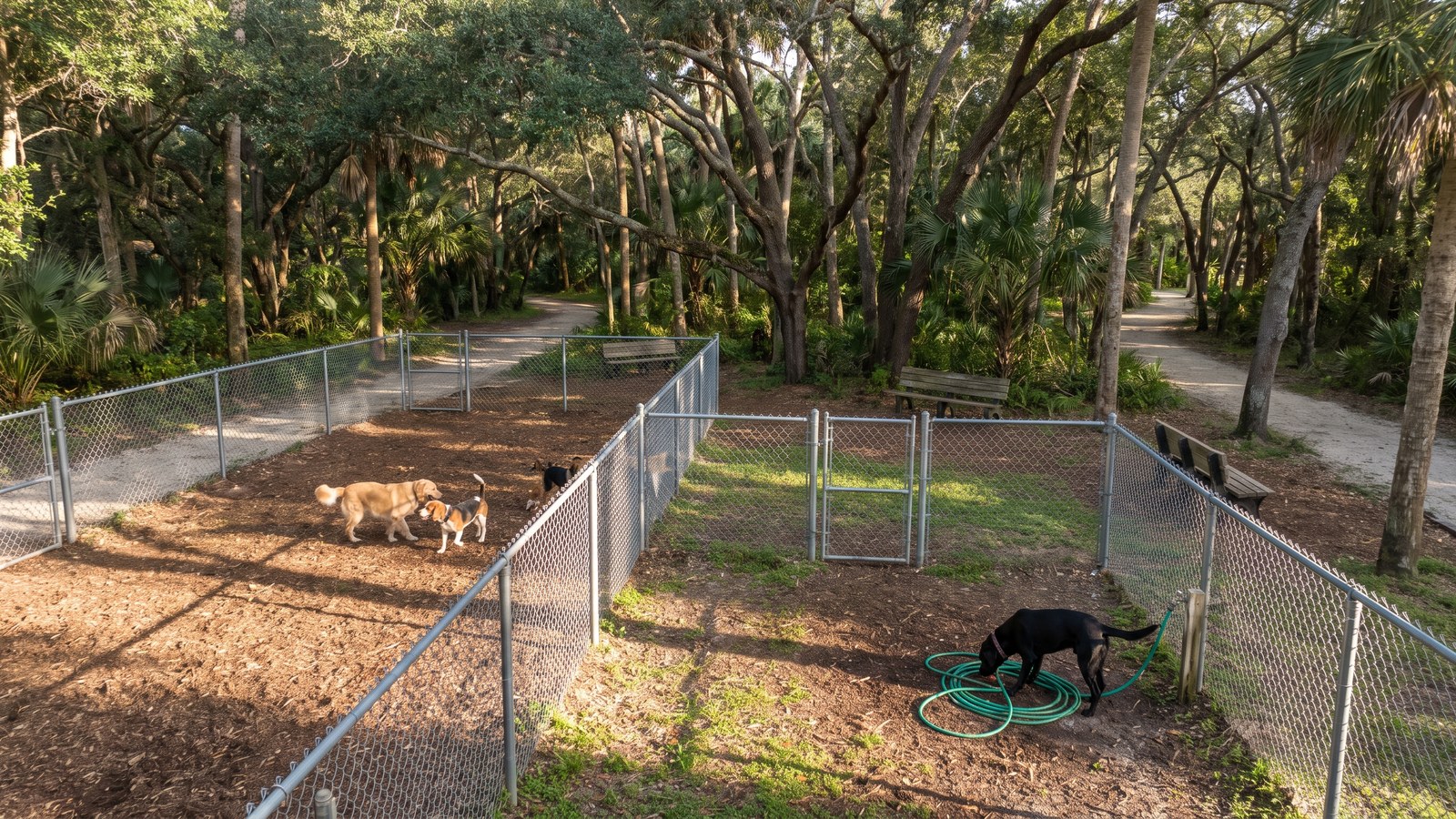 Dogs playing in the fenced-in area at Miramar Paw Central Dog Park inside Miramar Regional Park, Miramar, Florida — AI-generated illustration