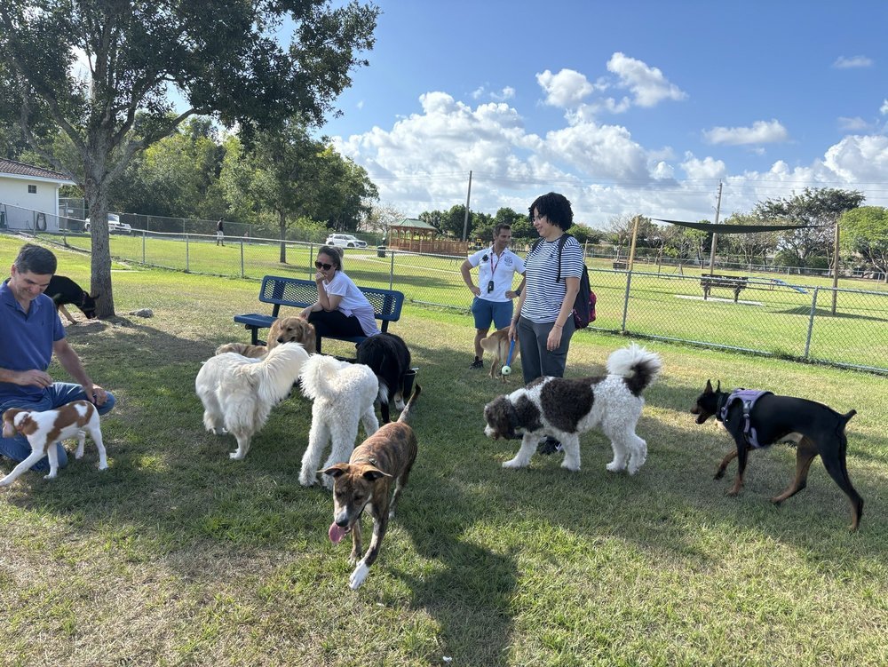 Dogs of different sizes playing on the grass at Steven L. Josias Dog & Equestrian Park with fenced area, trees, and picnic tables in Southwest Ranches, Florida