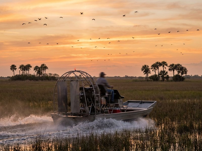 Everglades airboat and nearby attractions from Pembroke Pines