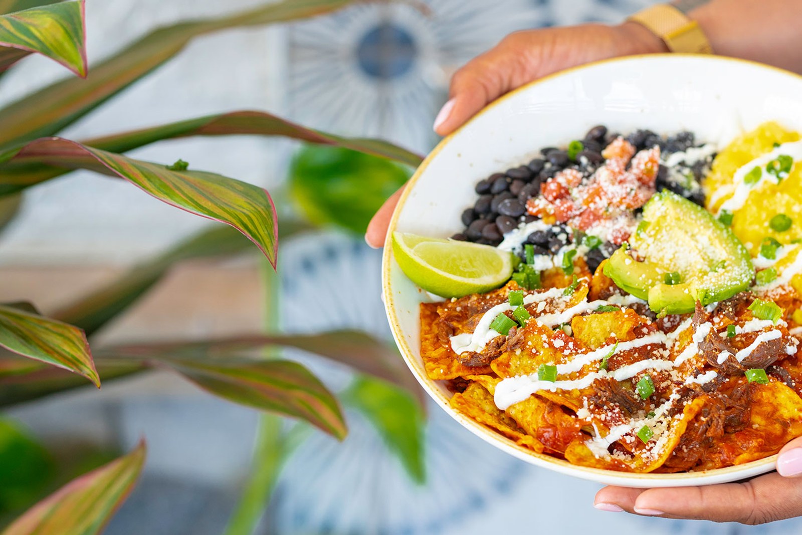 First Watch Pembroke Pines — bright daytime café interior with fresh breakfast and brunch dishes